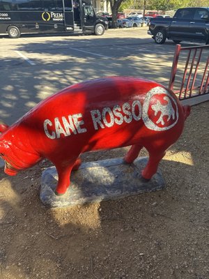 Cane Rosso by null