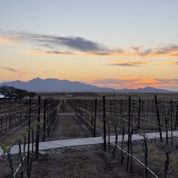 Los Milics Vineyards - Vineyard at sunset - Wine Tasting Room Near Me - Elgin, Arizona