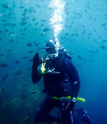 Dive! Tutukaka by null