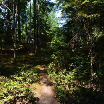 WOODS on Pender - (The shortcut from the kitchen to the cabin!) - Hotels Near Me - Pender Island, British Columbia
