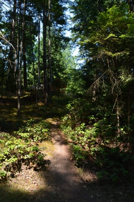 WOODS on Pender by null