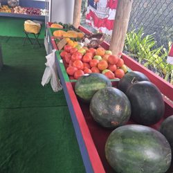 Martinez Fresh Produce