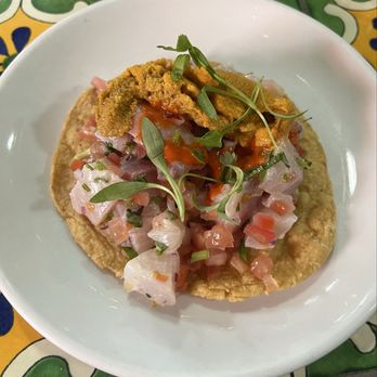 Holbox - Kanpachi & Uni Tostada - Latin American Near Me - Los Angeles, California Holbox - Kanpachi & Uni Tostada - Latin American Near Me - Los Angeles, California