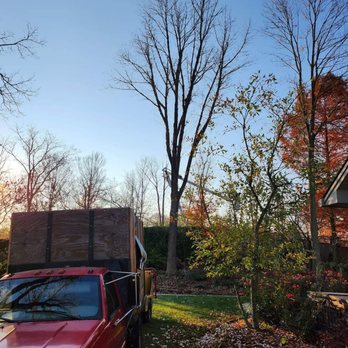 Willoughby Tree Service - Tree Services Near Me Willoughby Tree Service - Tree Services Near Me