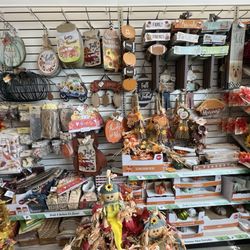 Dollar Tree - Fall is here