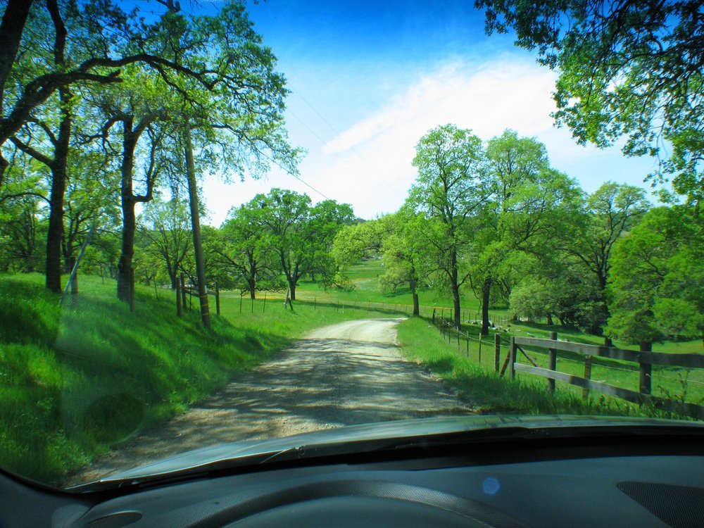 JANINE WAGGENER CENTURY 21 SELECT REAL ESTATE Updated July 2024