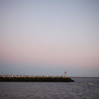 Dolphin Fleet - Boat Charters Near Me - Provincetown, Massachusetts