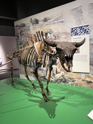 North Dakota Heritage Center & State Museum by null