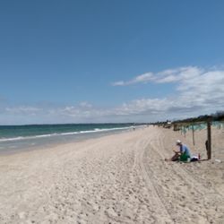 Aspendale Beach - Beach