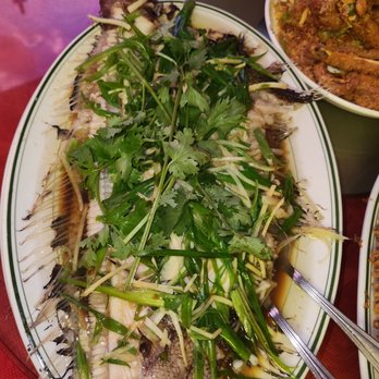 Wo Kee Noodle - Steamed whole flounder - Cantonese Near Me - Fresh Meadows, New York Wo Kee Noodle - Steamed whole flounder - Cantonese Near Me - Fresh Meadows, New York