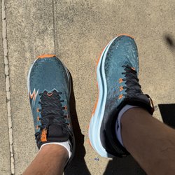 Wild Runners