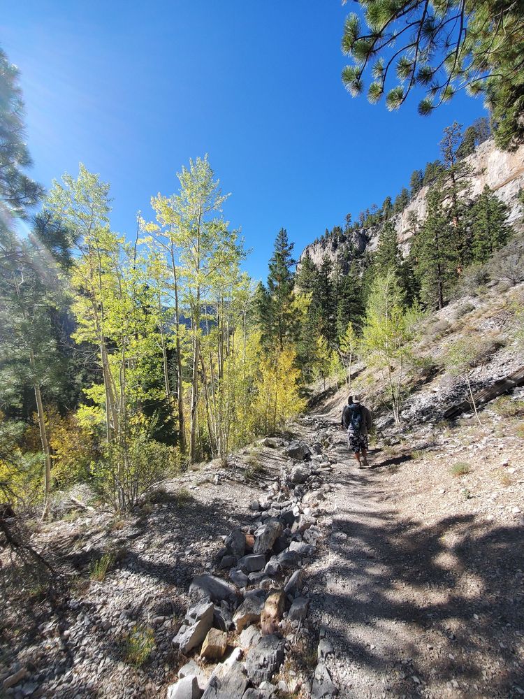 Trail Canyon Trail Logo