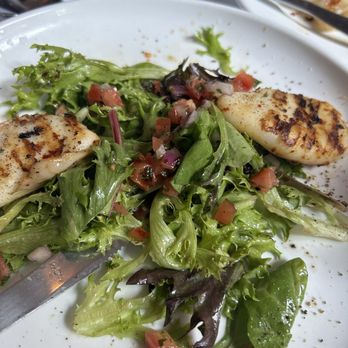 Nocello - Calamari alla Griglia - Italian Near Me - New York, New York Nocello - Calamari alla Griglia - Italian Near Me - New York, New York
