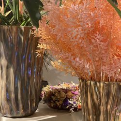 von Arx Blumen & Garten