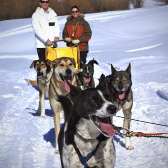 Durango Dog Ranch - Ranches Near Me