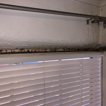 Holiday Motel - Black mold around the window in room 35. - Hotels Near Me - Bend, Oregon