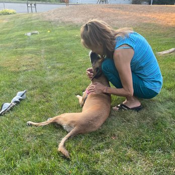 New Fairfield Animal - Veterinarians Near Me - New Fairfield, Connecticut New Fairfield Animal - Veterinarians Near Me - New Fairfield, Connecticut