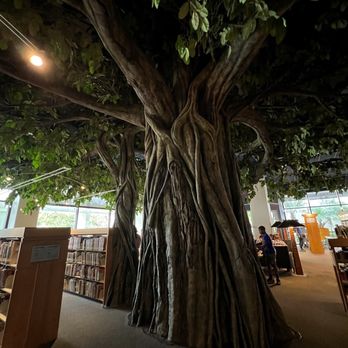 Cerritos Library - Libraries Near Me - Cerritos, California Cerritos Library - Libraries Near Me - Cerritos, California
