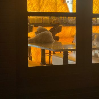 Haveli Bistro - Dog on the table - Indian Near Me - Columbus, Ohio