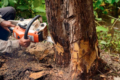 Stump Co. - tree service in Omaha, NE