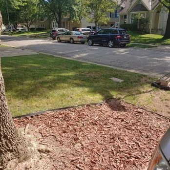 Proficient Tree Care - Tree Services Near Me - Eudora, Kansas