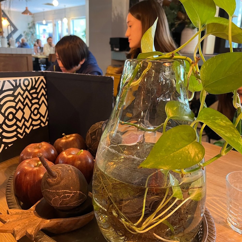 The Fine Food Store - Cafes Near Me - The Rocks, NSW