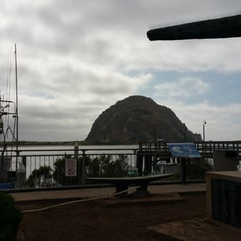 Morro Bay State Park - Parks Near Me - Morro Bay, California Morro Bay State Park - Parks Near Me - Morro Bay, California