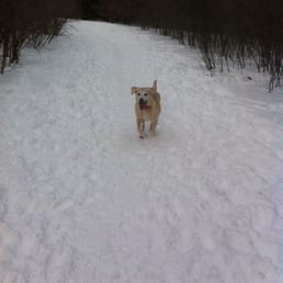 I love the dog park! I love the dog park!