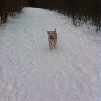 Katherine Kearney Carpenter Park - I love the dog park! - Dog Parks Near Me - Mequon, Wisconsin Katherine Kearney Carpenter Park - I love the dog park! - Dog Parks Near Me - Mequon, Wisconsin