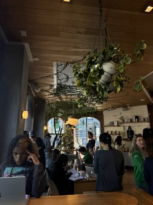 Verve Coffee Roasters by null