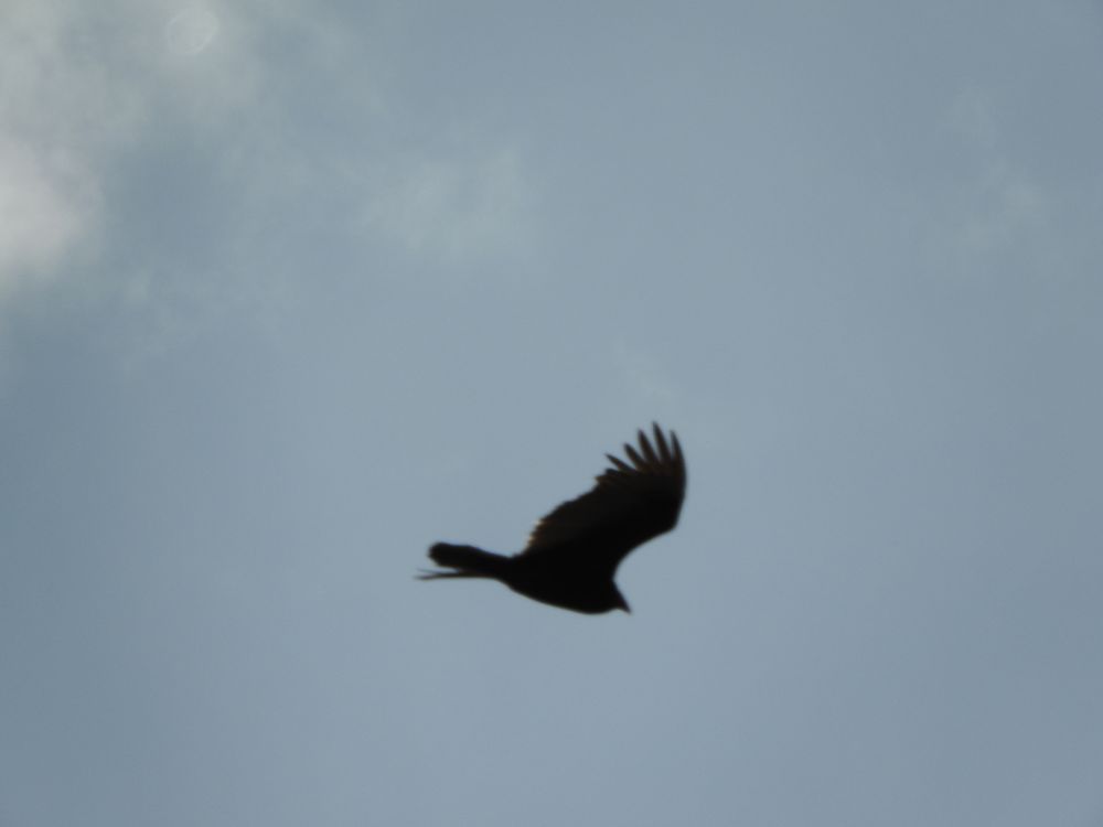 SHUMWAY SERVICES Updated September 2024 Hadley, Massachusetts