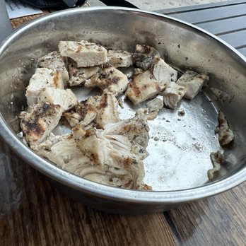 The Brinehouse - Pup grilled chicken - New American Near Me - Safety Harbor, Florida The Brinehouse - Pup grilled chicken - New American Near Me - Safety Harbor, Florida