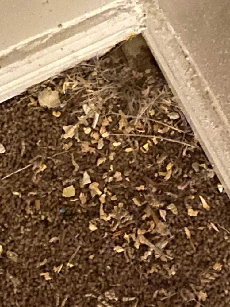 THE TERRACE AT SAM HOUSTON PARKWAY Updated October 2024 9475 W Sam