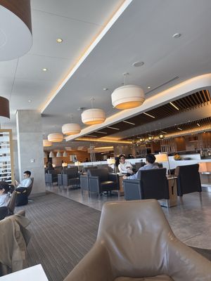 Greenwich Lounge JFK - British Airways & American by null