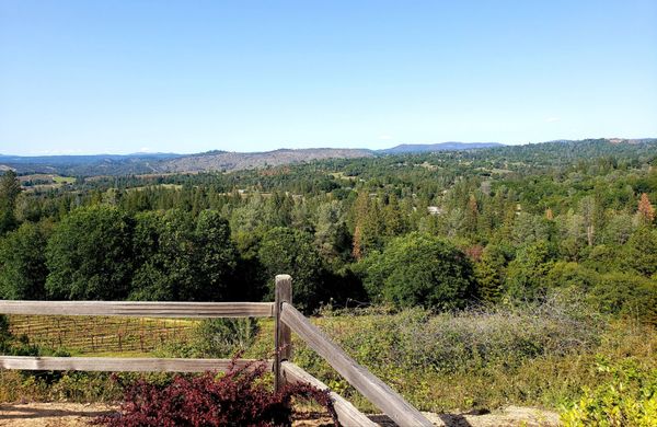 Skinner Vineyards & Winery by null