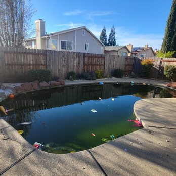 Capital Lawn & Pool - Pool Cleaners Near Me Capital Lawn & Pool - Pool Cleaners Near Me