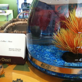 Black Elephant Coffee - Burbank - Coffee pot betta fish bowl...cool! - Coffee & Tea Near Me - Burbank, California