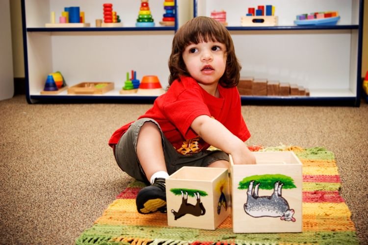 American Montessori - childcare center in Apple Valley, MN