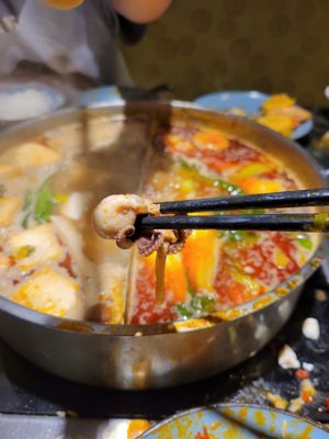 Happy Lamb Hot Pot, Beaverton by null
