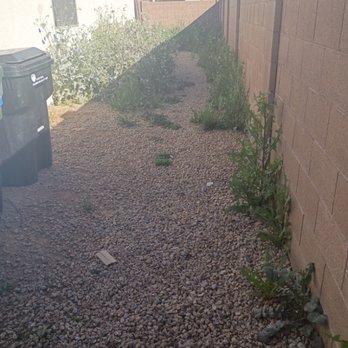 Arison Performance Landscape - Before weeds removal - Lawn Services Near Me - Arizona City, Arizona Arison Performance Landscape - Before weeds removal - Lawn Services Near Me - Arizona City, Arizona