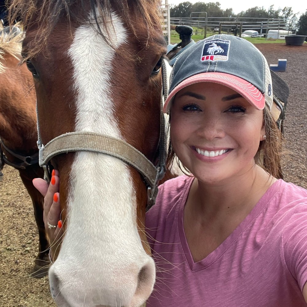 Na'alapa Stables - Beau - Horseback Riding Near Me - Kamuela, Hawaii Na'alapa Stables - Beau - Horseback Riding Near Me - Kamuela, Hawaii