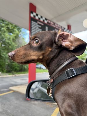 Bobo's Drive In by null
