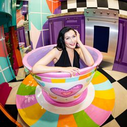 user provided World of Illusions photo