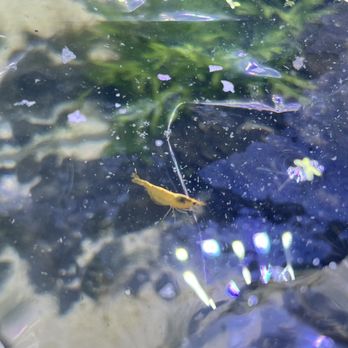 Ck Fish World - Local Fish Stores Near Me - West Covina, California