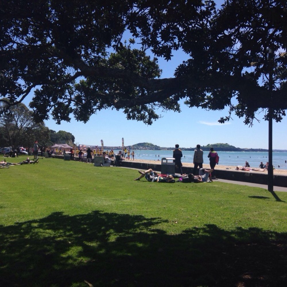 Mission Bay Beach - Sunny and green - Beaches Near Me - Auckland, AUK