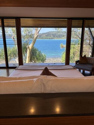 qualia by null qualia by null