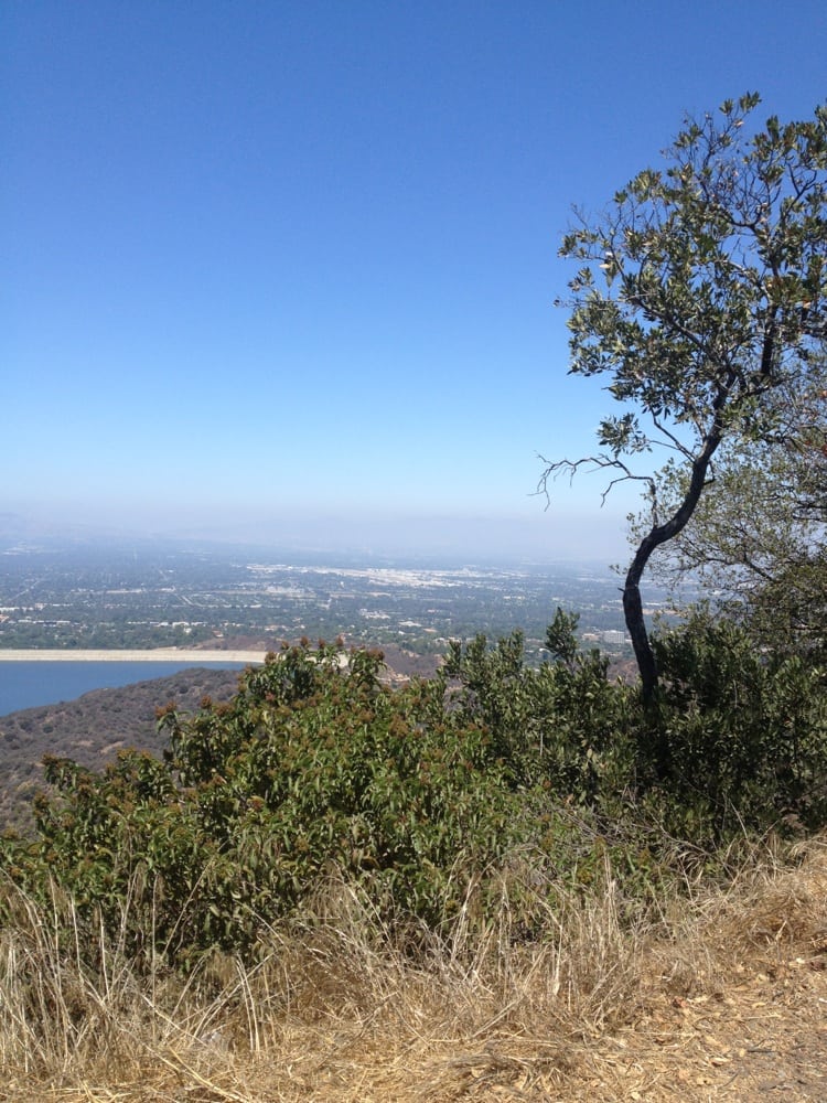 INSTITUTE FOR WOMENS HEALTH 16311 Ventura Blvd, Encino, CA Yelp