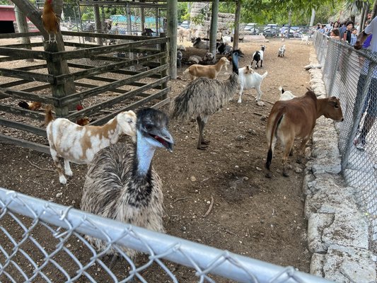 Robert Is Here Fruit Stand by null