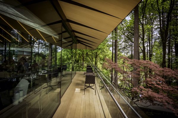 Umami Café at Portland Japanese Garden by null