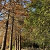 Denman Estate park gift card